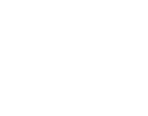 VD_LIVING_logo_wit_DEF